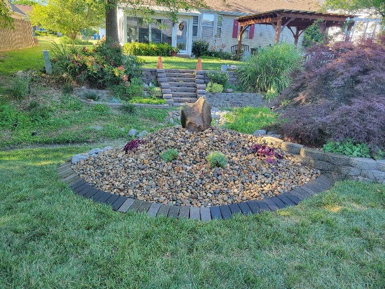 Backyard Project