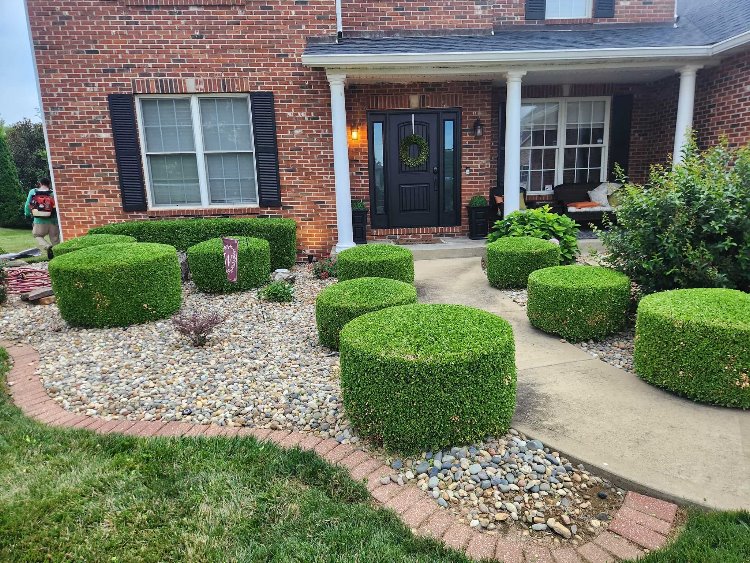 Landscape Maintenance