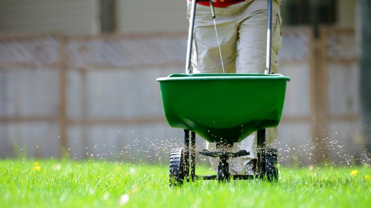 Lawn Treatment