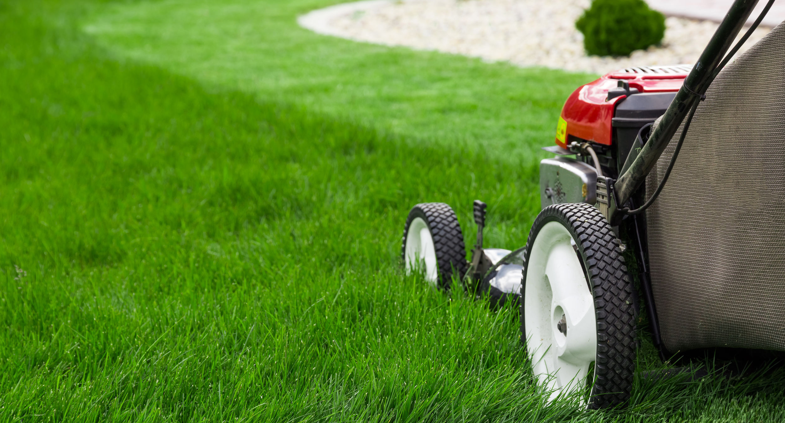 Lawn Care