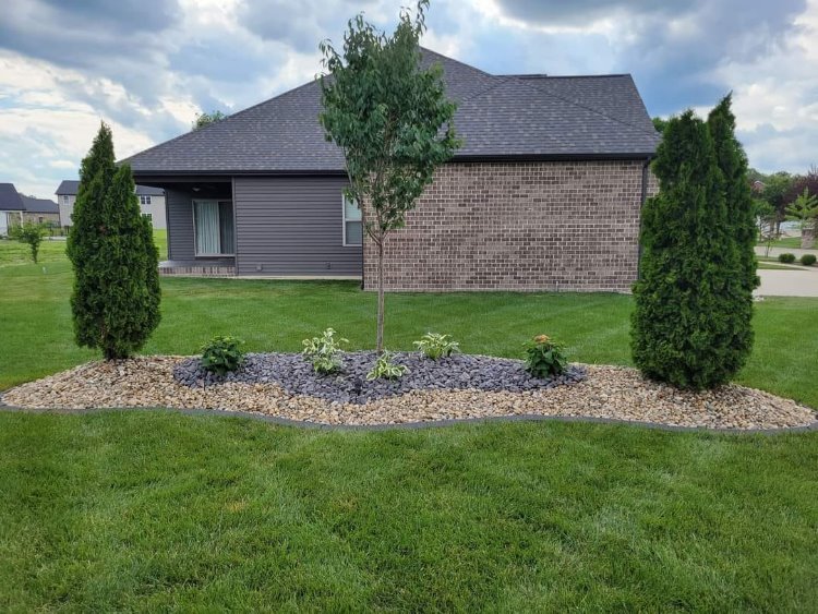 Trees and Shrubs